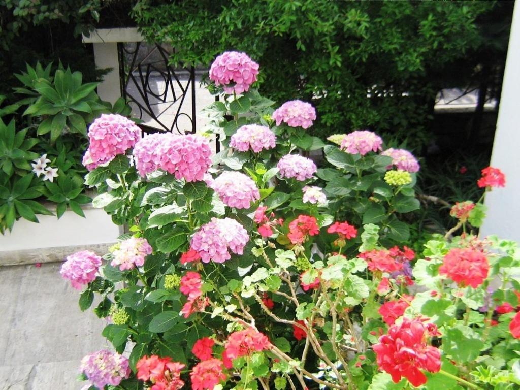 Il Giardino Di Anna Frühstückspension 3*