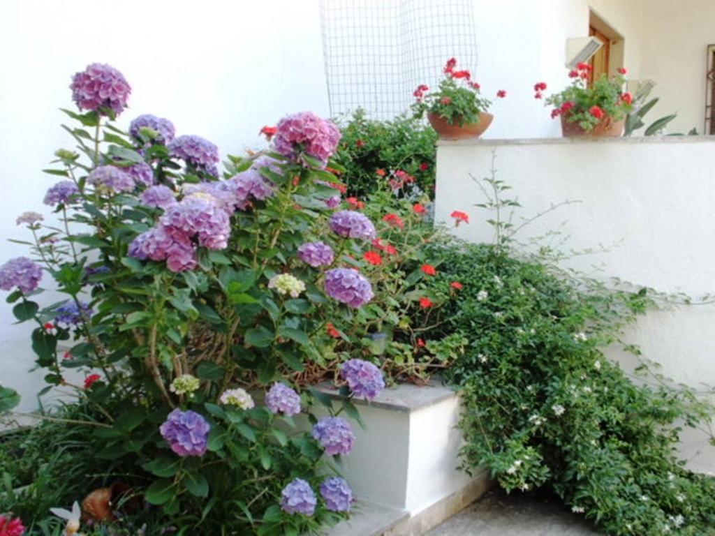 Il Giardino Di Anna Trecase