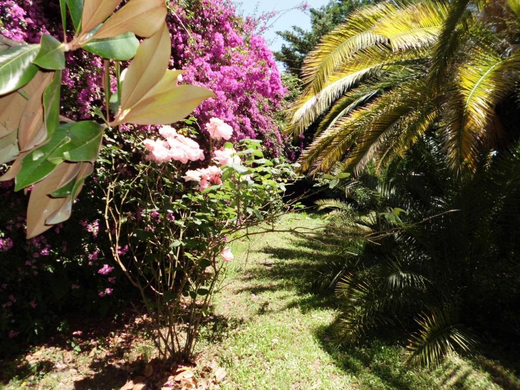 Il Giardino Di Anna Frühstückspension 3*